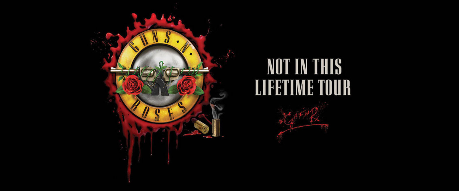 Guns and roses steam фото 92